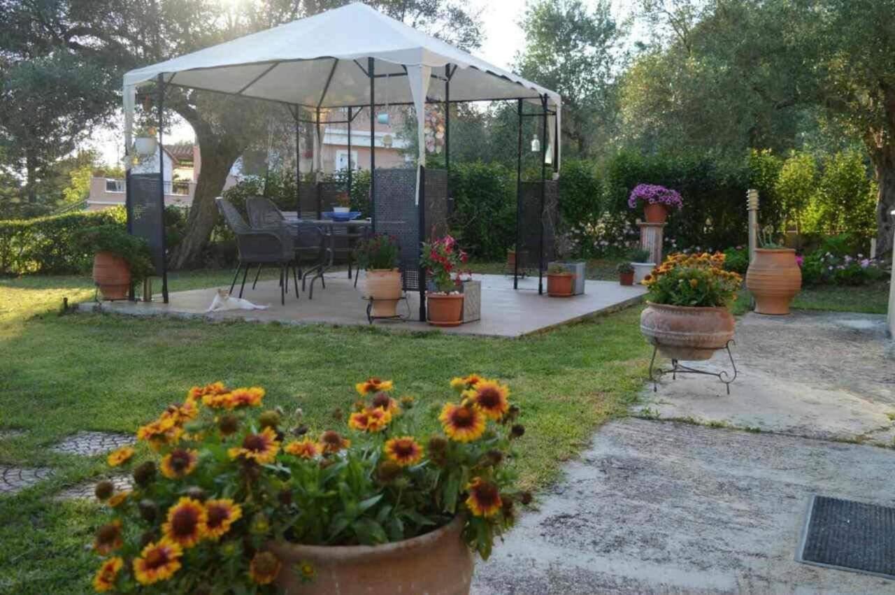Sunny Garden Lägenhet Plataria Exteriör bild